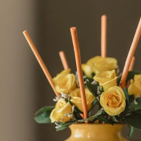 公寓式酒店 Le Stelle